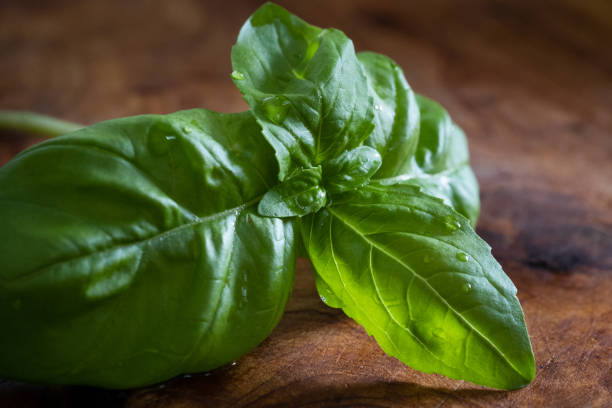 Sprig of Basil on a Cutting Board stock photo