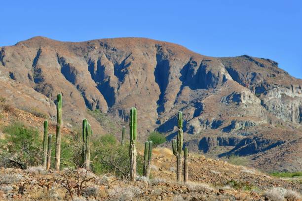 istock The Mountainous Desert 1474227526