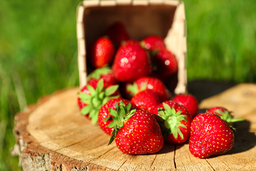 Basket with scattered ripe strawberries on tree stump outdoors, closeup