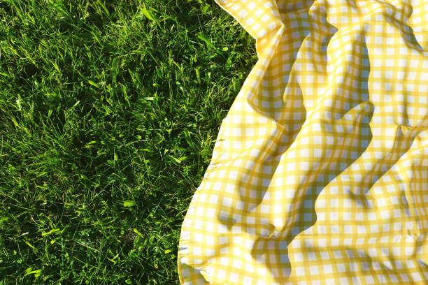 istock Checkered picnic tablecloth on fresh green grass, top view. Space for text 1474229918