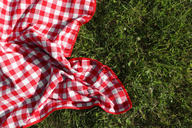 istock Checkered picnic tablecloth on fresh green grass, top view. Space for text 1474229946