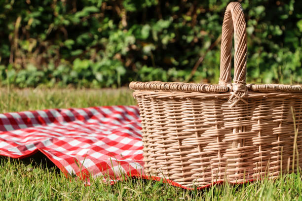 istock Picnic basket with checkered tablecloth on green grass outdoors, space for text 1474230001