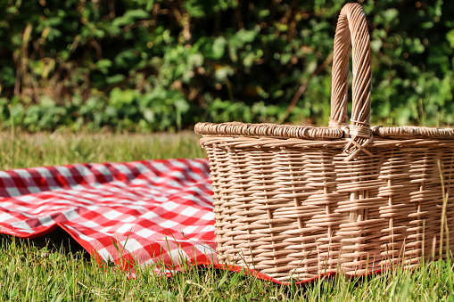 Picnic basket with checkered tablecloth on green grass outdoors, space for text