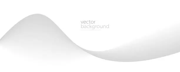 Vector illustration of Curve shape flow vector abstract background in light grey gradient, dynamic and speed concept, futuristic technology or motion art.