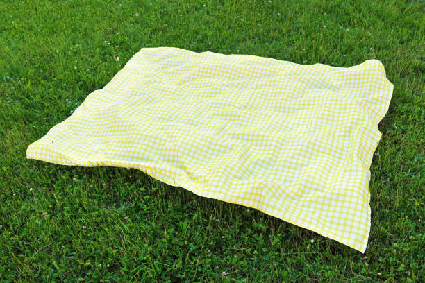 istock Checkered picnic tablecloth on fresh green grass outdoors 1474230179