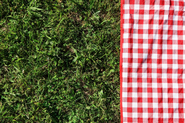 istock Checkered picnic tablecloth on fresh green grass, top view. Space for text 1474230191