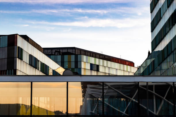 Palm trees and sunset sky reflected in the modern building horizontal