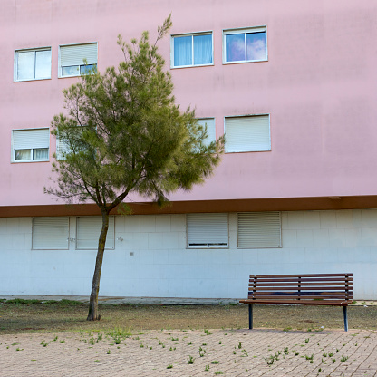 A lone tree with a pink and white wall as background and a wooden park bench to the right hand side of the tree.