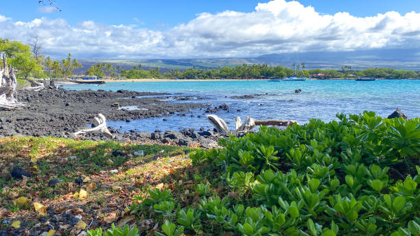 istock Hawaii’s Coast at Waikoloa Beach 1474235660