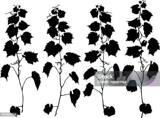 Grape Branches Stock Illustration - Download Image Now - Grape, Wine, Bunch