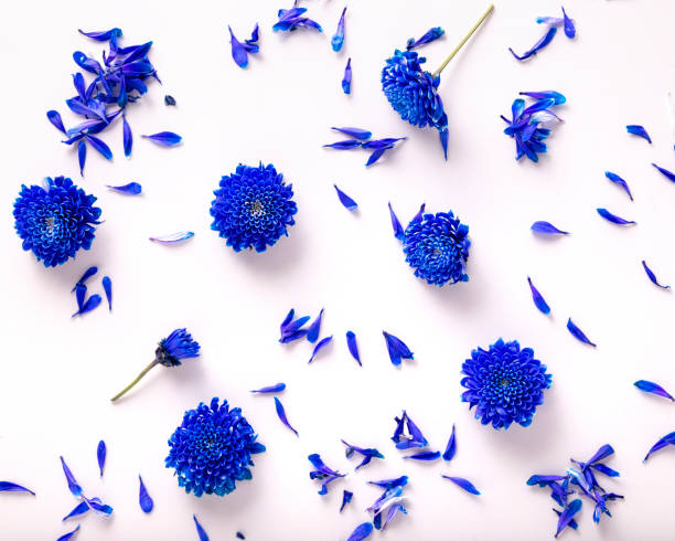 istock Scattered Blue flowers background 1474244223