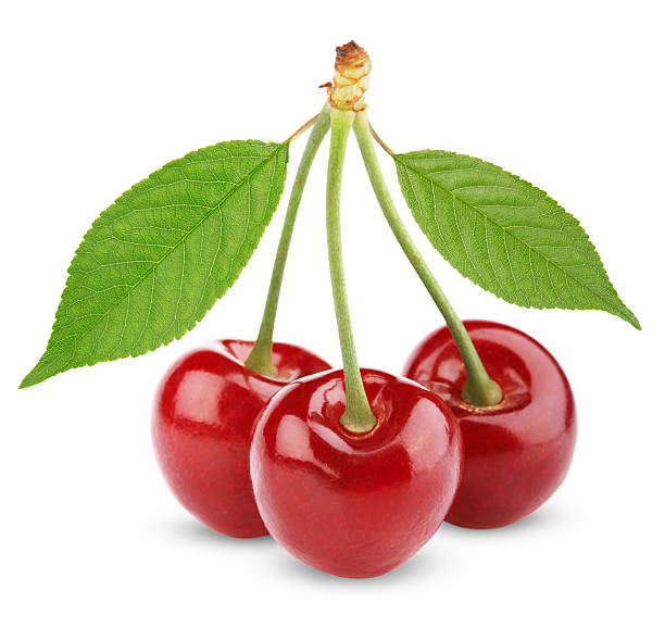 istock Three sweet cherries with leaves isolated on white 147424457