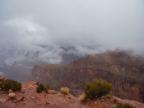 Eagle Point at the Grand Cayon West Rim on a cool foggy day with clouds filling the canyon