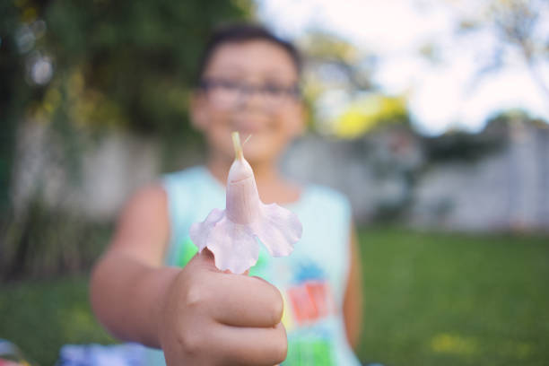Canada Vancouver island young child playing wiith flowers as eyes