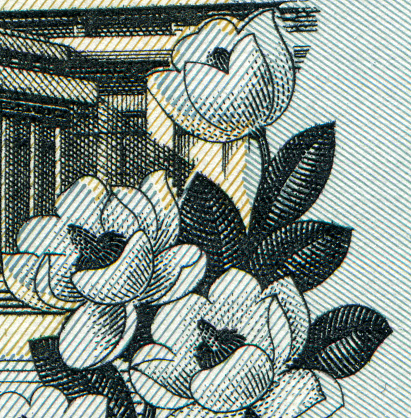 Magnolia Flower Pattern Design of North Korea Banknote