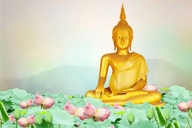 Photo of Buddha statue. background blurred flowers and sky with the light of the sun.