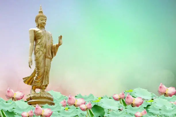 Photo of Buddha statue. background blurred flowers and sky with the light of the sun.