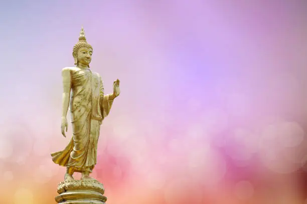 Photo of Buddha statue. background blurred flowers and sky with the light of the sun.