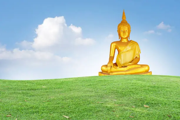 Photo of golden buddha on green grass blue sky