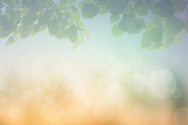 istock Blur circle bokeh green leaf background. Blurry yellow leaves ra 1474269324