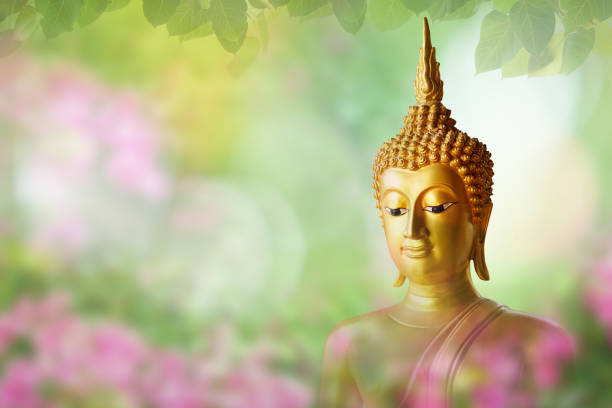 magha asha visakha bucha day, goldene buddha-statue. weiches bild und glatter fokus - vesak day stock-fotos und bilder