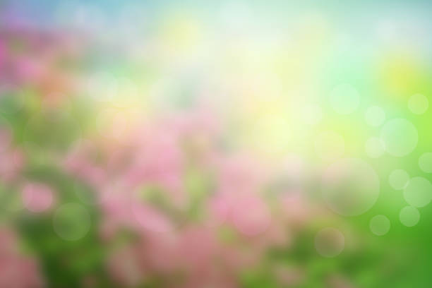 istock Blur circle bokeh green leaf background. Blurry yellow leaves rays light flare nature backdrop. 1474270261