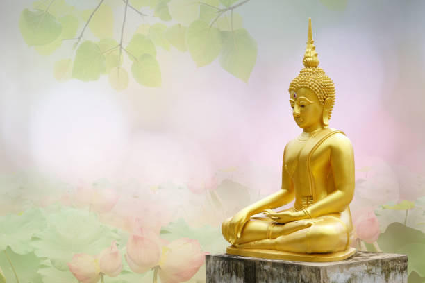 makha asanaha visakha bucha tag goldener buddha bild. hintergrund von bodhi-blättern mit strahlendem licht. weiches bild und glatter fokus - vesak day stock-fotos und bilder
