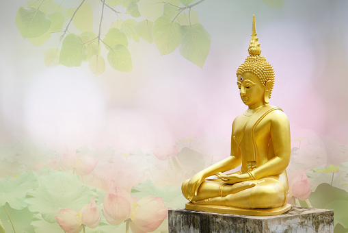 buddha statue in front of flowers. it symbolizes wellness and calm. the flower background gives it a moody touch.