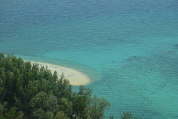 High angle sea view with pine trees on the side.