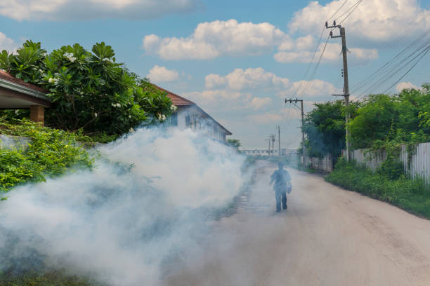 Fogging DDT spray mosquito kill for virus protect stock photo