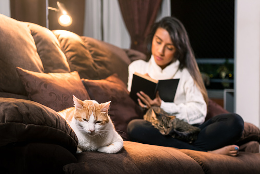 A cozy living room scene with a white cat lounging on a sofa in the foreground while a Latina woman takes notes in a black notebook in the background, with a gray cat resting on her lap