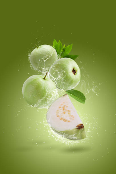 istock Water splashing on Guava fruit isolated on a green background 1474275011