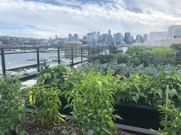 istock City Gardening 1474280304
