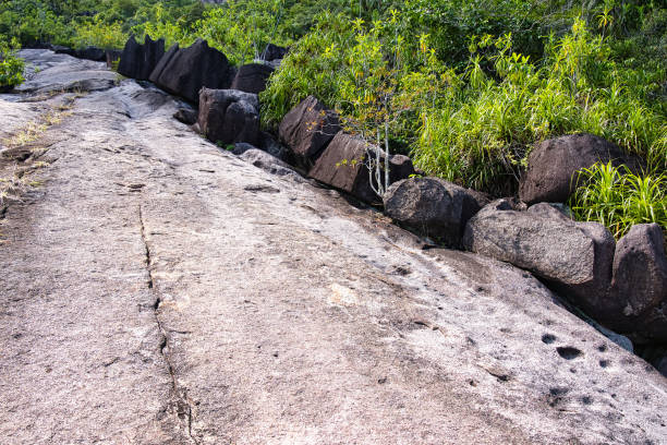 istock Anse major nature trail granite rocks and plants 1474288296