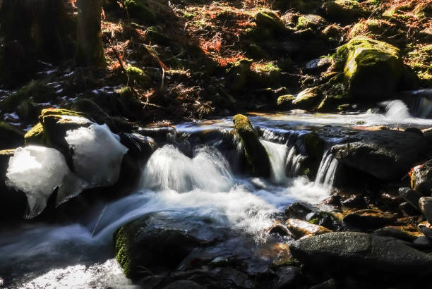 wonderful little waterfalls from a brook in a forest in spring