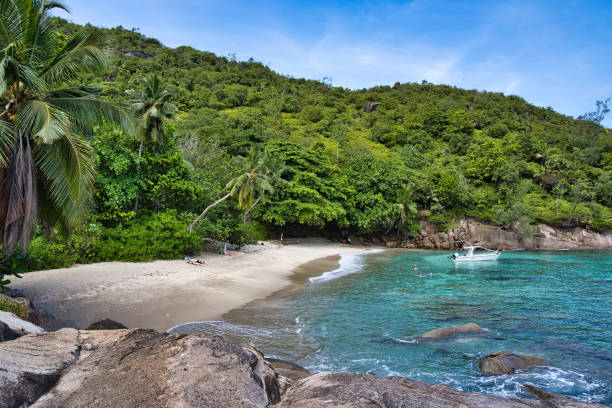 istock Anse major nature trail, anse major beach 1474291538