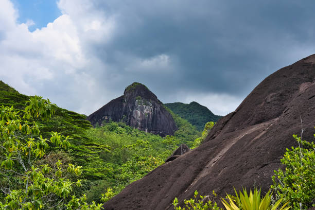 La Digue,sunlight, summer,