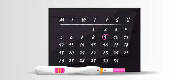 Vector illustration of The concept of the female reproductive system and pregnancy planning. Monthly pregnancy calendar and a positive pregnancy test with two stripes on a neutral background.