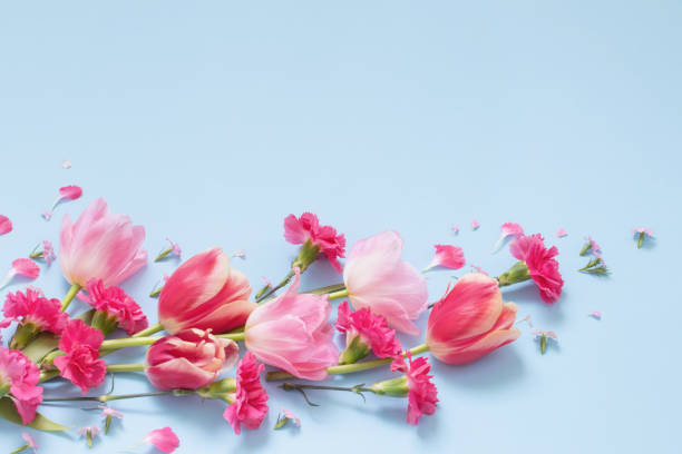 istock beautiful spring flowers on blue background 1474293468
