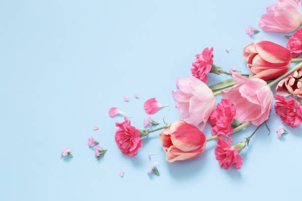 istock beautiful spring flowers on blue background 1474293470