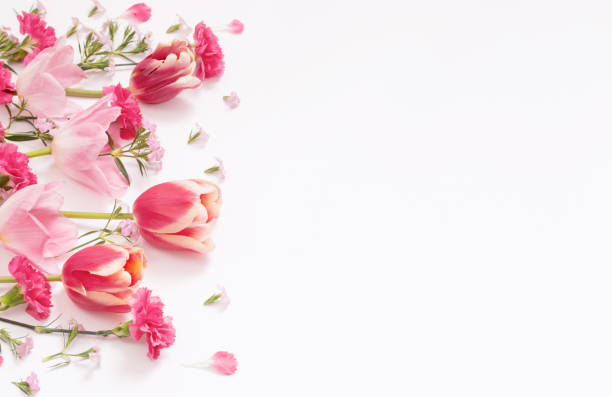 istock beautiful spring flowers on white  background 1474293488