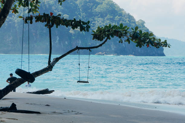 istock Trees at Green Bay or Teluk Ijo Beach in Banyuwangi, East Java Indonesia 1474297561