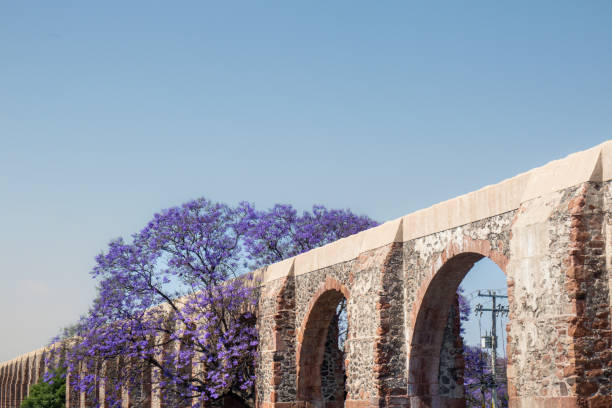 istock Queretaro Mexico aqueduct with jacaranda tree and purple flowers 1474297985