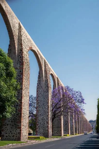 A Queretaro Mexico aqueduct with jacaranda tree and purple flowers
