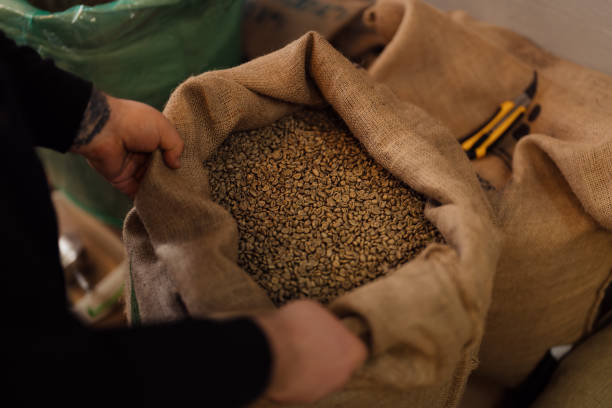 istock Crop man taking bag with raw coffee beans 1474298820
