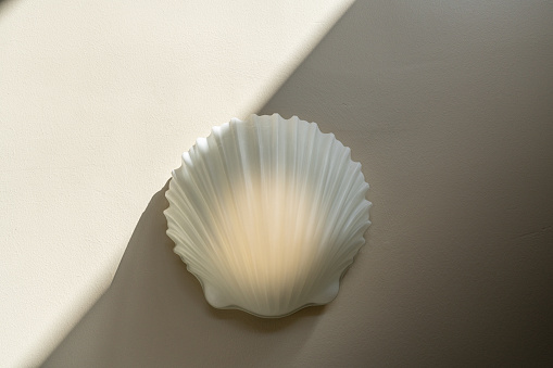 Shell light on wall with diagonal shadow