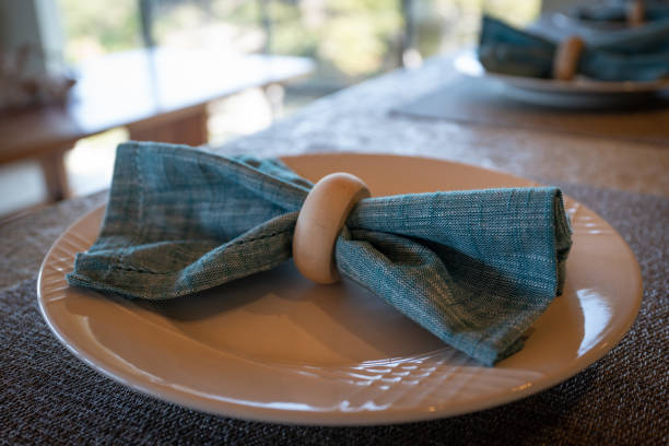 Plate on kitchen counter with napkin in ring