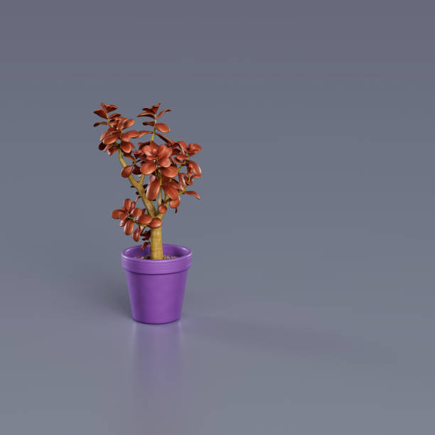 istock plant in a pot 8 1474301900