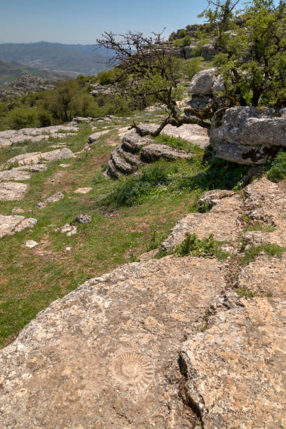 istock Spring in the Torcal de Antequera 1474306893