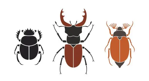 Vector illustration of Beetle deer. Hercules beetle